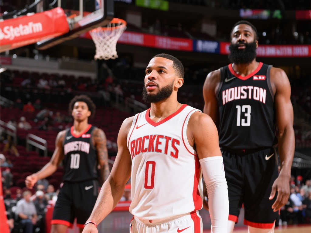 家浙江队 家浙江队