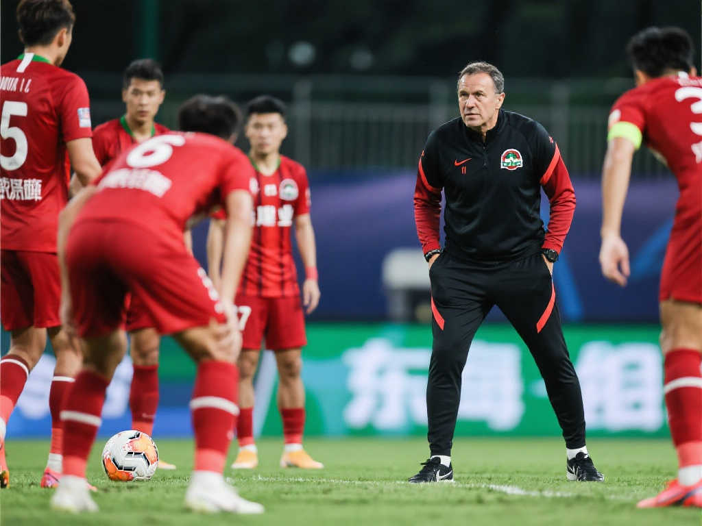 这是他们的 这是他们的