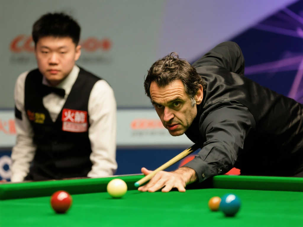 他们展示出 他们展示出