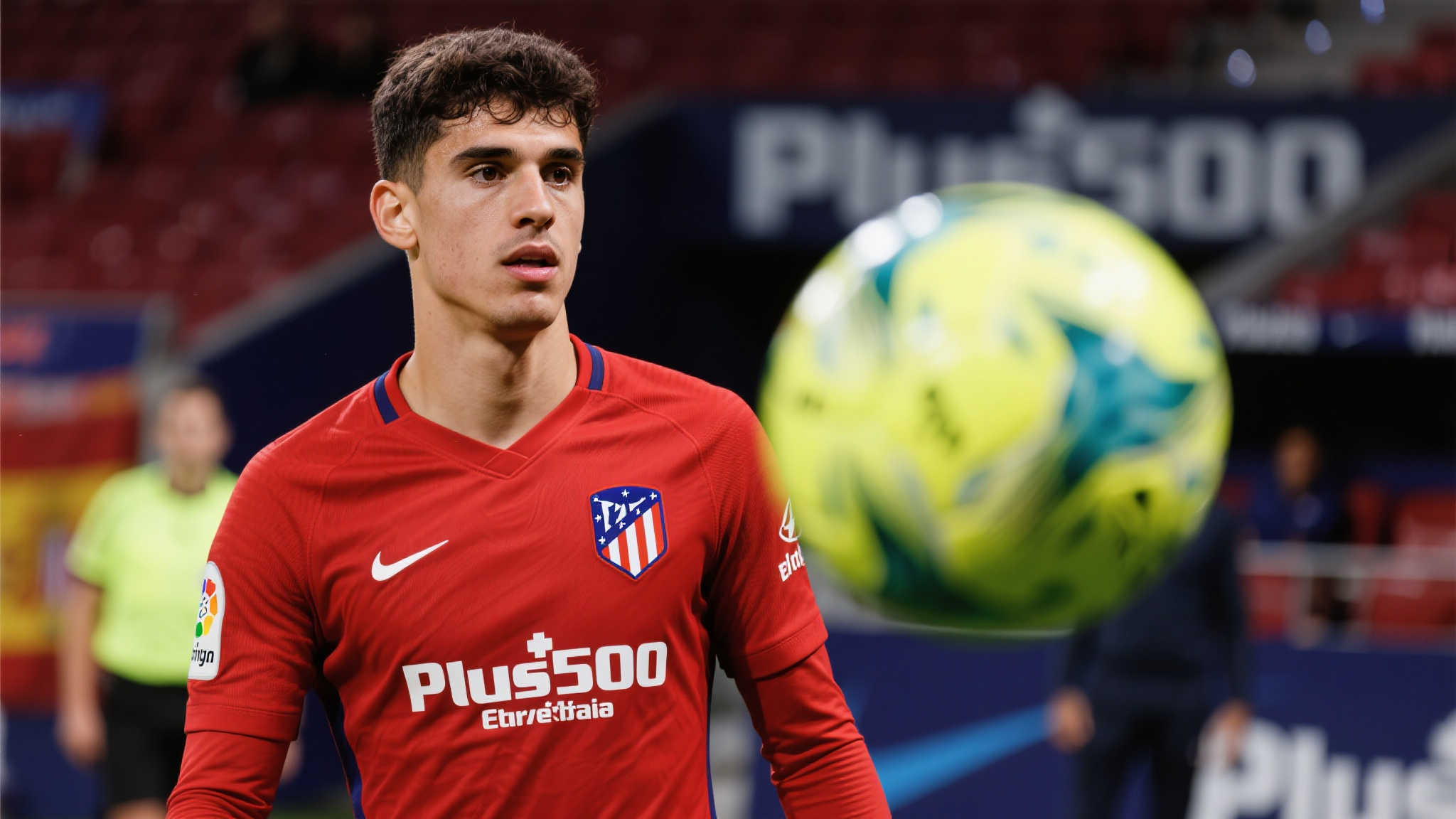 了极高的技 了极高的技